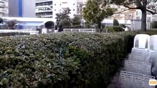 成人福利视频观看影片⭕❌亚洲精品99久久久久中文字幕
